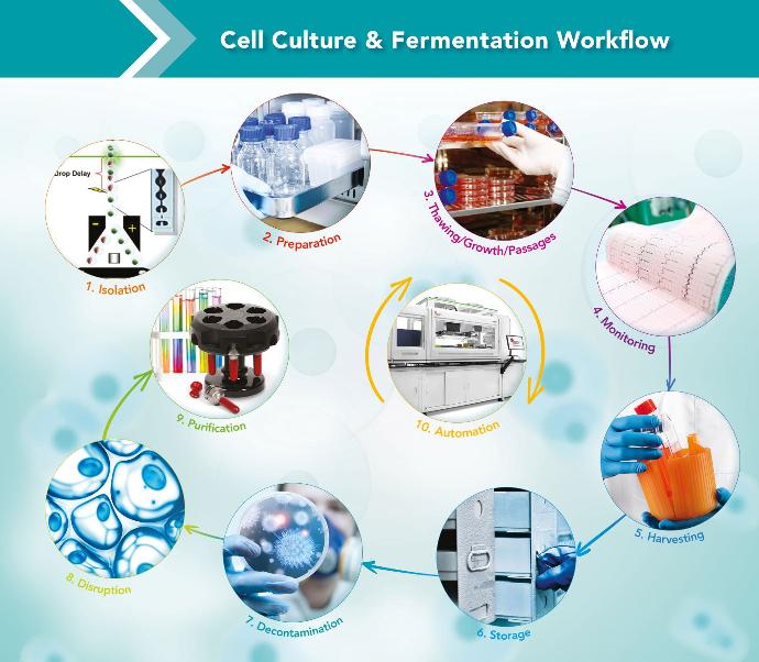 Cell culture and fermentation workflow and solutions