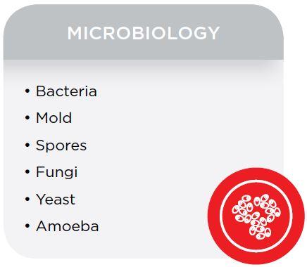 Teltoepassingen in microbiologie Bacteriën gist Schimmelsporen Schimmels Amoeben
